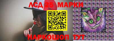 индика Кингисепп