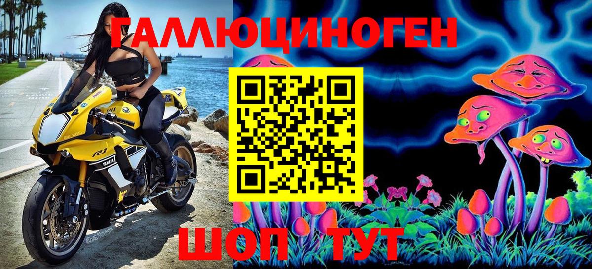 Павловский Посад  Псилоцибиновые грибы GOLDEN TEACHER  Псилоцибиновые грибы прущие грибы  Вход с VPN 